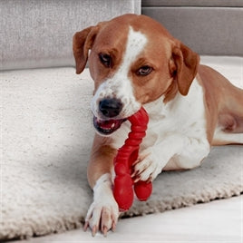 Nylabone Extreme Chew Lobster XL