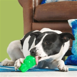 BARK Munchie The Bear Super Chewer