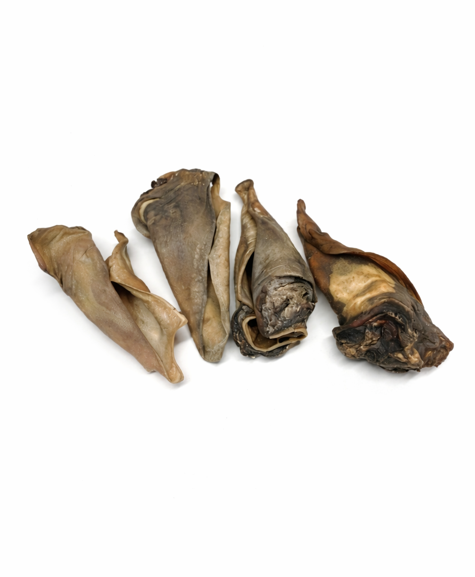 Kamelen oren 500g