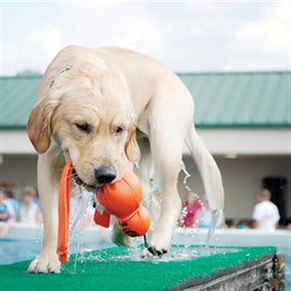 Kong wubba wet