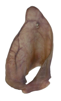 Varkens oren 2st