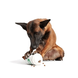 BARK Pupkin Spice Cappucino