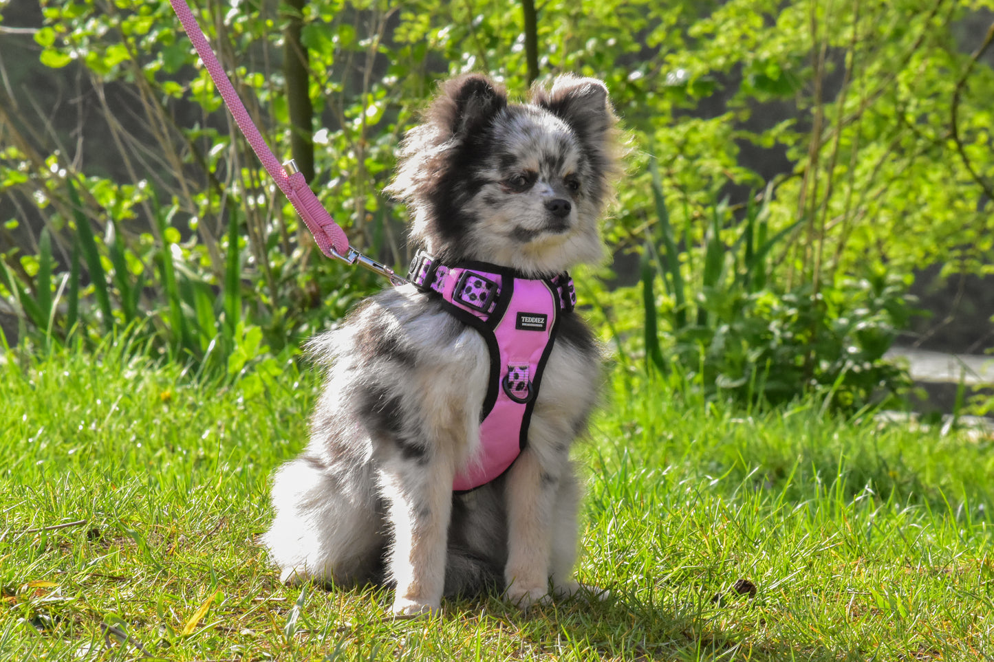 Adventure tuig - Dotty Pink