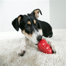Kong Classic rood L