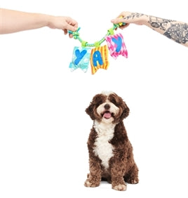 BARK Happy Yay Banner Birthday Pluche