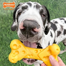 Nylabone Dura Chew Cheese Bone L