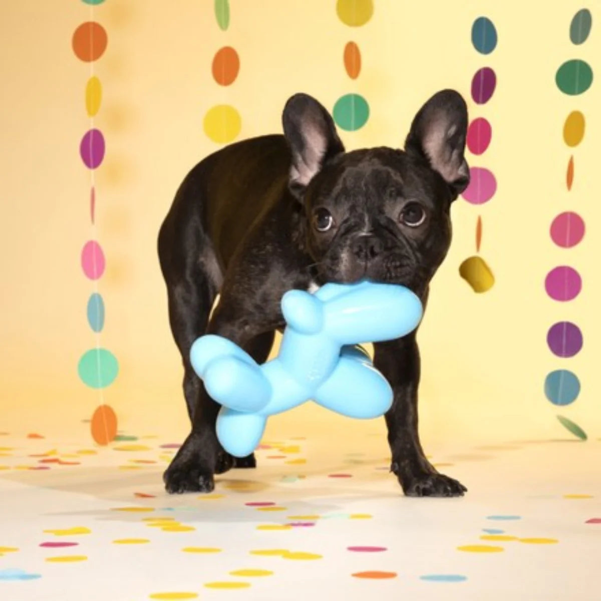 BARK Bob the Balloon